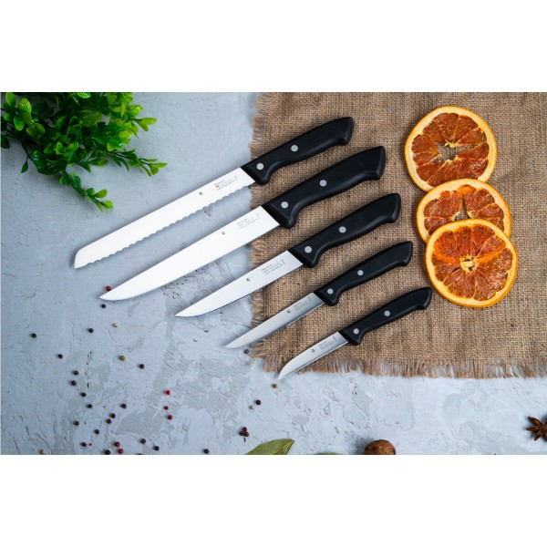 Фото - Набор ножей WMF 1874699990 CLASSIC LINE 6 пр.