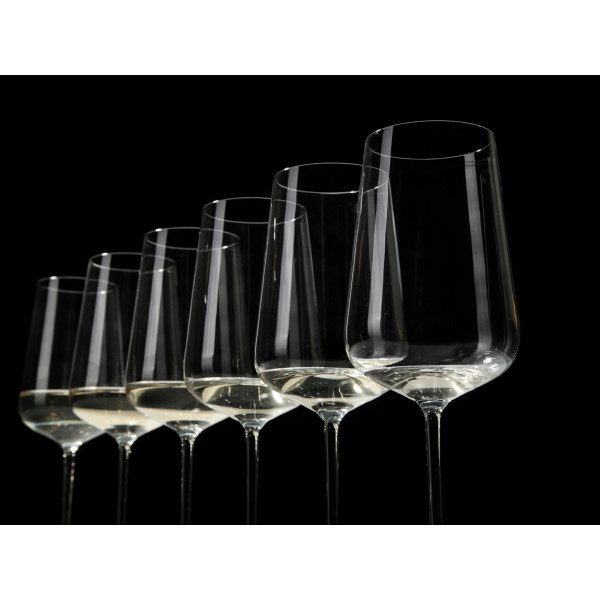 Фото - Набір келихів Schott Zwiesel 6 шт. для білого вина  Chardonnay 0,487 л 121405