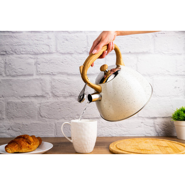 Фото - Чайник металевий Gusto GT-1412-30 Мускус