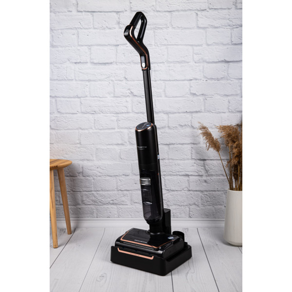 Фото - Пилосос ручний миючий Rowenta GZ5736E0