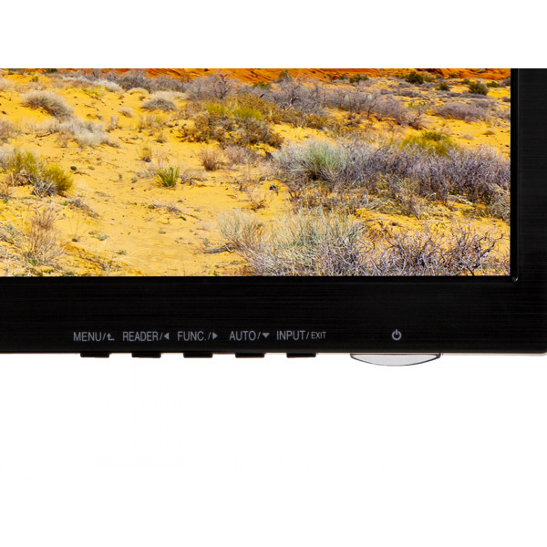 Фото - Монитор LG 19M38A-B