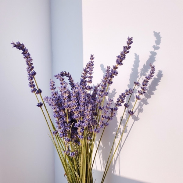 Фото - Свічка скло Bolsius 97/85 Лаванда (940377)