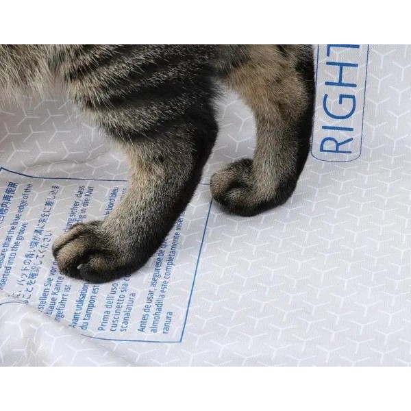Фото - Сменная подкладка для наполнителя PETKIT High Performance Cat Litter Pad Ultra (P99035)