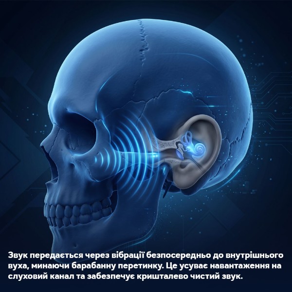Фото - Наушники вкладыши беспроводные INSPIRE Bone X1 AS18 с костной проводимостью черные (AS18-X1)