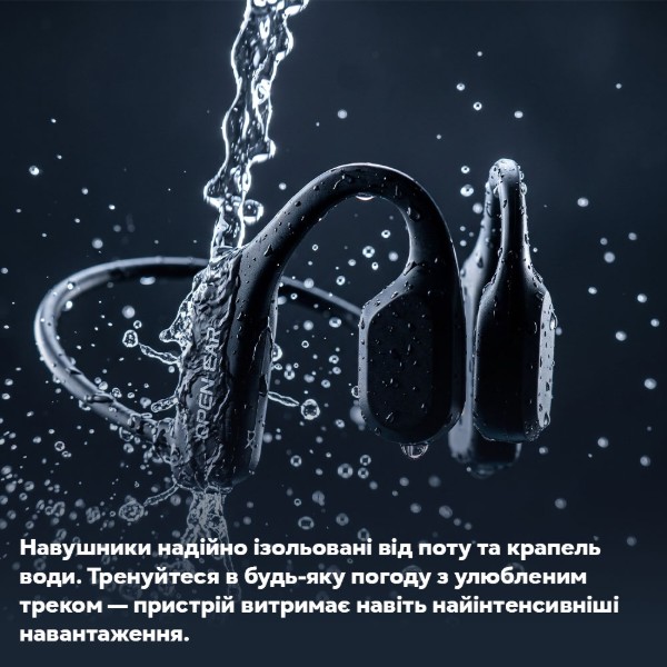 Фото - Наушники вкладыши беспроводные INSPIRE Duo AS20 открытого типа черный (AS20)