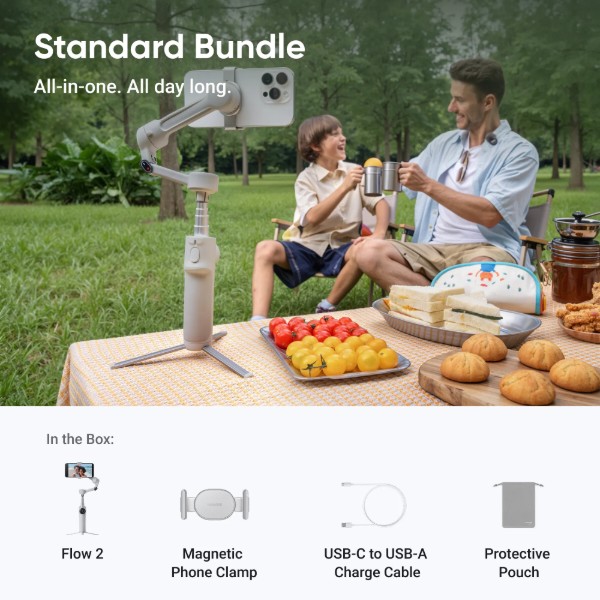 Фото - Стедикам Insta360 Flow 2 Standard Bundle Gray (CINSABQA)