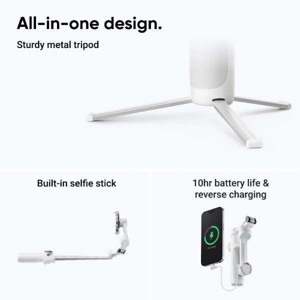 Фото - Стедикам Insta360 Flow 2 Standard Bundle Gray (CINSABQA)