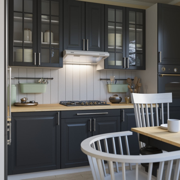 Фото - Витяжка традиційна ELEYUS Line I 60  WH