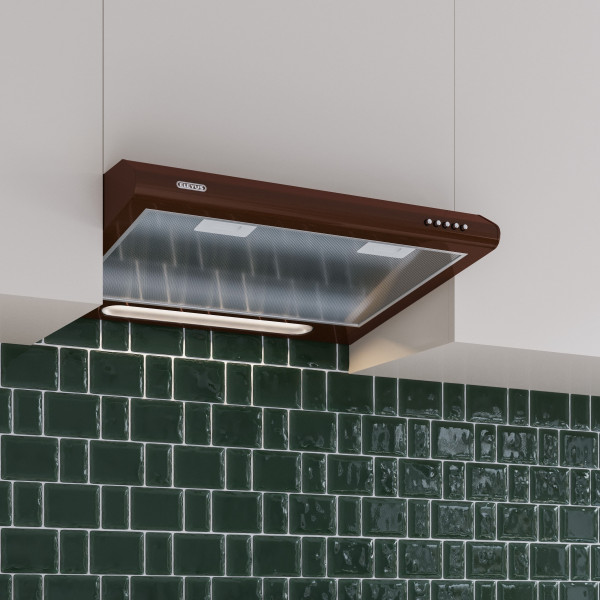 Фото - Вытяжка традиционная ELEYUS Line I 60 BR