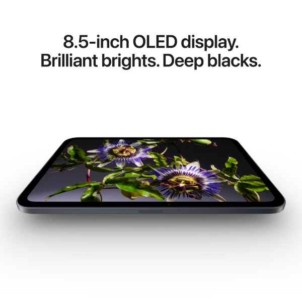 Фото - Планшет Apple iPad Mini (A20 Pro) Wi Fi 128GB standard glass MJ6F4 Midnight