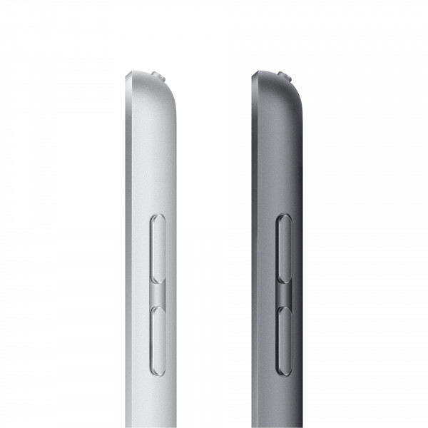 Фото - Планшет Apple iPad 10.2'' (9 Gen) Cellular 256GB (MK4E3) Space Grey