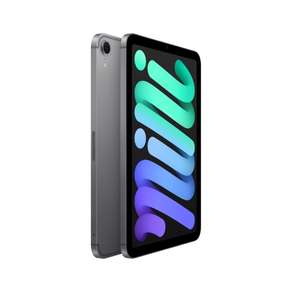 Фото - Планшет Apple iPad Mini (A17 Pro) Cellular 512GB (MYHC3) Space Gray
