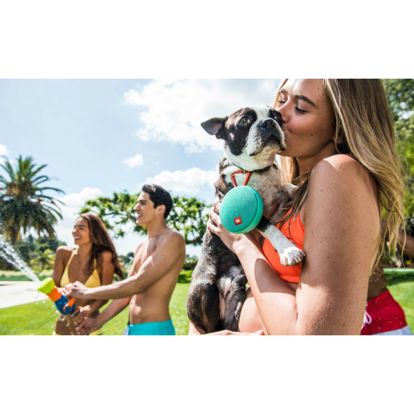 Фото - Портативна акустика JBL Clip 2 Teal (JBLCLIP2TELEU)