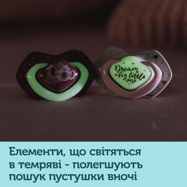 Фото - Симетрична пустушка Canpol babies SLEEPY KOALA 18+ міс 2 шт. - синя (22/660_blu)
