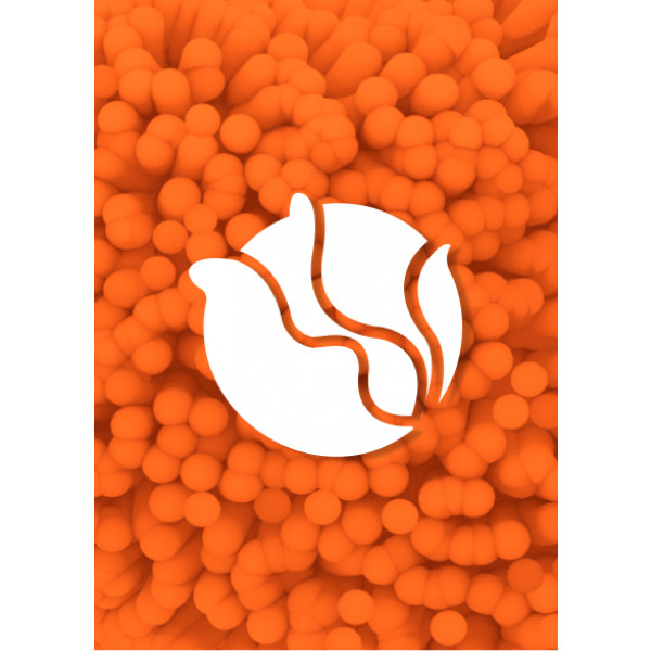 Фото - Послуга ''Капуста'' на 12 місяців