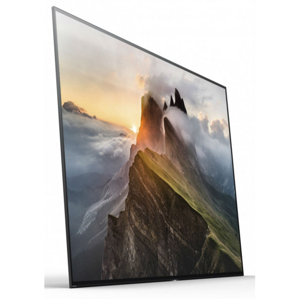 Фото - Телевизор Sony KD65A1BR2