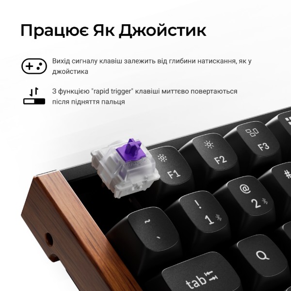 Фото - Клавиатура беспроводная Keychron K2HE 81Key, Gateron Double-Rail Magnetic Nebula, WL/BT/USB-A Black (K2H-F1-UA)