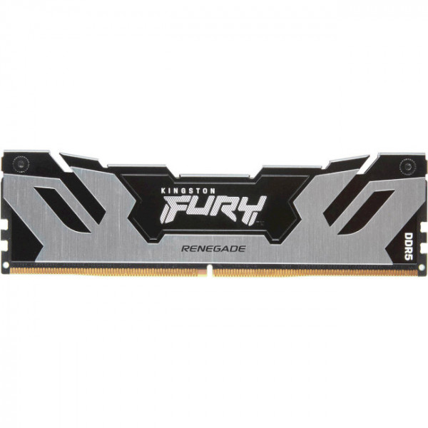 Фото - Память DDR Kingston FURY Renegade Black/Silver DDR5 7600MHz 16GB (KF576C38RS-16)