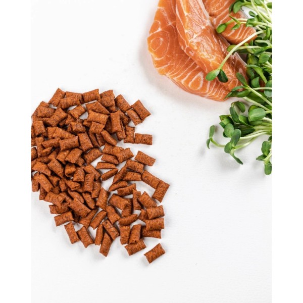 Фото - Ласощі для собак Savory Cats Snacks Pillows Gourmand with Salmon 60 г (4820232631454)