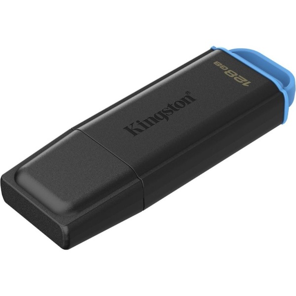 Фото - Флеш USB Kingston 128GB USB 3.2 Gen 1 Black/Blue (DTXG2/128GB)