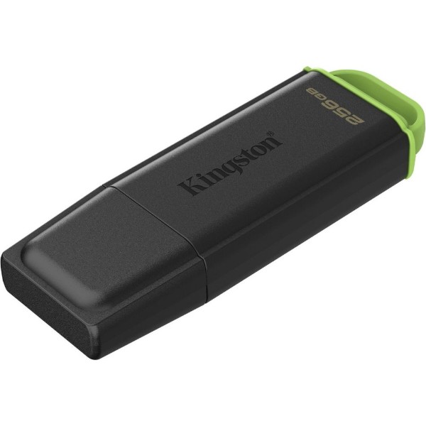 Фото - Флеш USB Kingston 256GB USB 3.2 Gen 1 Black/Green (DTXG2/256GB)