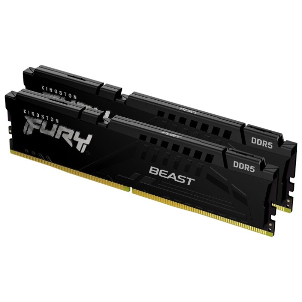 Фото - Пам'ять DDR Kingston 16GB DDR5 CL36 DIMM FURY Beast Black EXPO (KF560C36BBEK2-16)
