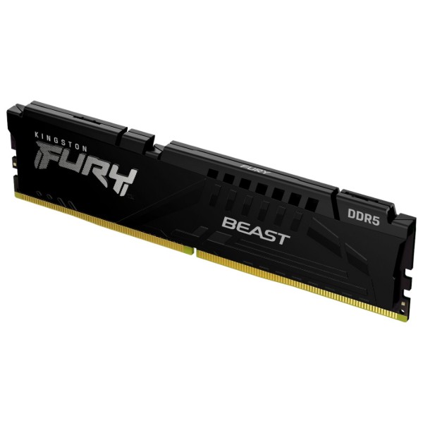 Фото - Память DDR Kingston 16GB DDR5 CL34 DIMM FURY Beast Black EXPO (KF568C34BBE-16)