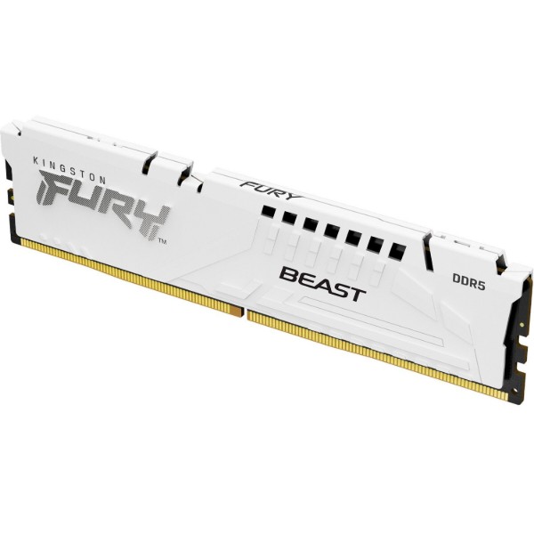 Фото - Пам'ять DDR Kingston Fury Beast White DDR5 32GB/5600 (KF556C40BW-32)