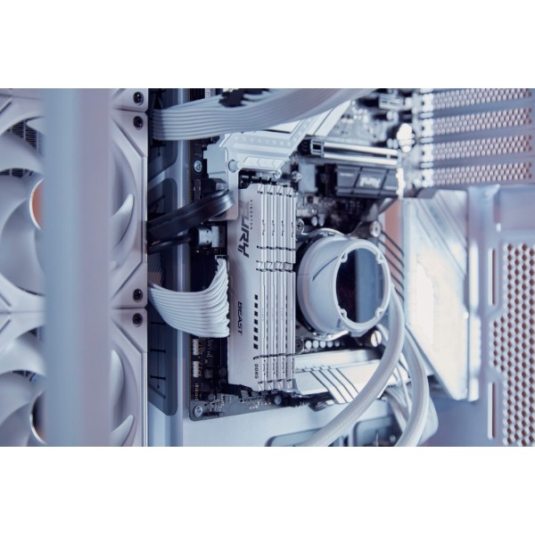Фото - Пам'ять DDR Kingston Fury Beast White DDR5 32GB/5600 (KF556C40BW-32)