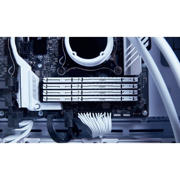 Фото - Пам'ять DDR Kingston Fury Beast White DDR5 32GB/5600 (KF556C40BW-32)