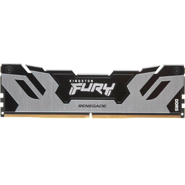 Фото - Пам'ять DDR Kingston Fury Renegade Silver DDR5 48GB/6400 (KF564C32RS-48)