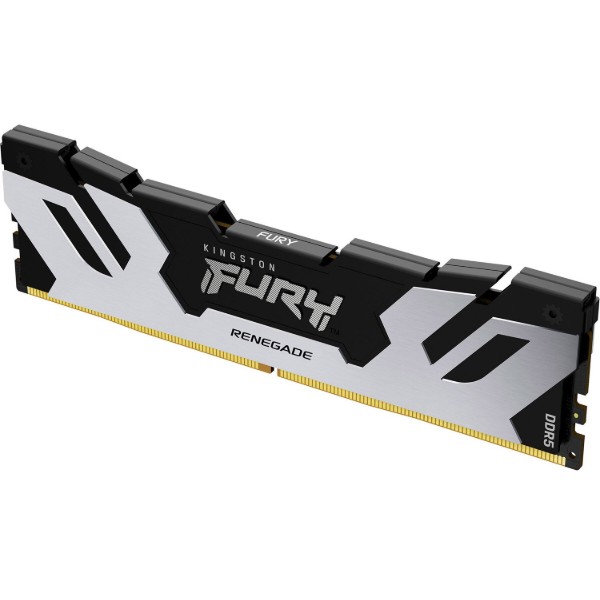 Фото - Пам'ять DDR Kingston Fury Renegade Silver DDR5 48GB/6400 (KF564C32RS-48)