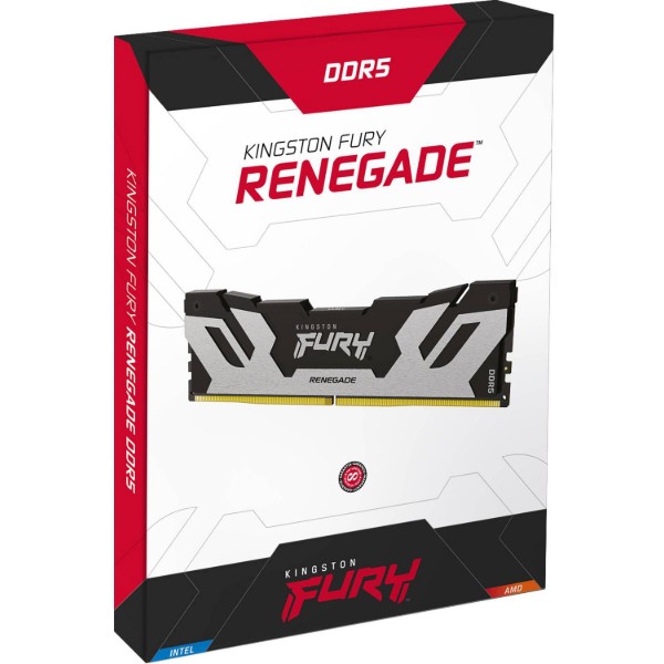 Фото - Пам'ять DDR Kingston Fury Renegade Silver DDR5 48GB/6400 (KF564C32RS-48)