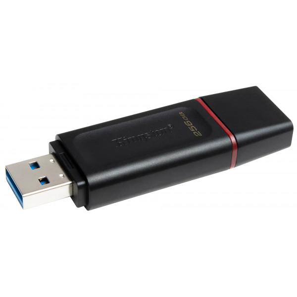 Фото - Флеш USB Kingston DataTraveler Exodia 256GB USB 3.2 Black-Pink (DTX/256GB)