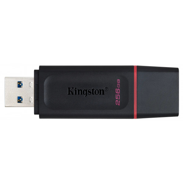 Фото - Флеш USB Kingston DataTraveler Exodia 256GB USB 3.2 Black-Pink (DTX/256GB)