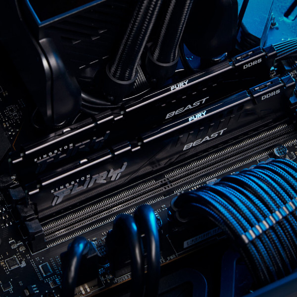 Фото - Память DDR Kingston 32GB 6000MT/s DDR5 CL36 DIMM FURY Beast Black (KF560C36BBE2-32)