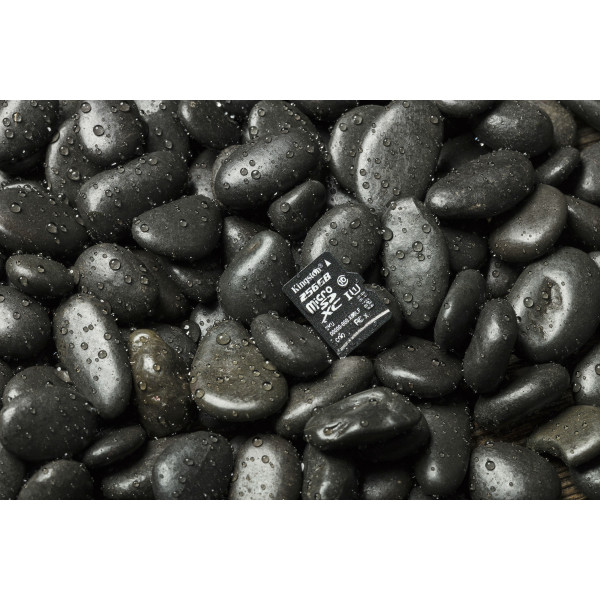 Фото - Карта памяти Kingston microSDHC 16GB C10 UHS-I (SDCS/16GBSP)