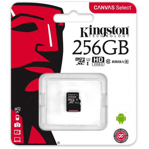 Фото - Карта памяти Kingston microSDXC 256GB C10 UHS-I (SDCS/256GBSP)