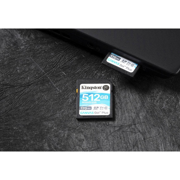 Фото - Карта пам'яті Kingston SDXC 64 GB Canvas Go+ U3 V30 (SDG3/64GB)