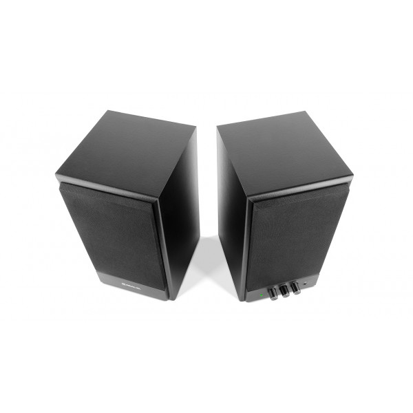 Фото - Компьютерная акустика обычная 2.0 REAL-EL S-305