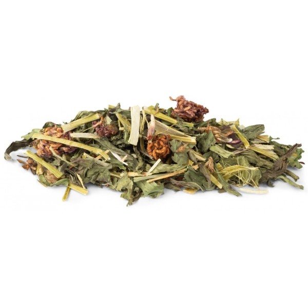 Фото - Ласощі для гризунів Vitakraft Vita Verde Nature Mix з подорожником та конюшиною 70г (4008239256928)