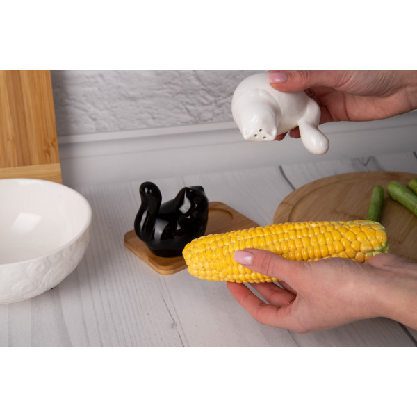 Фото - Емкость для специй Krauff 21-275-026