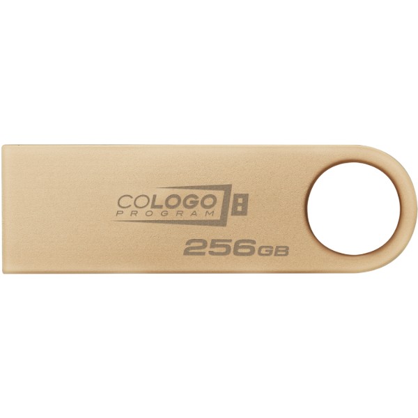Фото - Флеш USB Kingston DT SE9 G3 256GB USB 3.2 Gold (DTSE9G3/256GB)