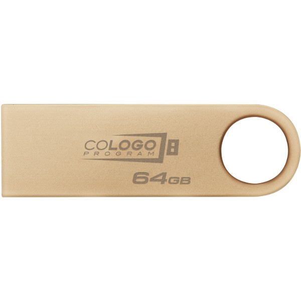 Фото - Флеш USB Kingston DT SE9 G3 64GB USB 3.2 Gold (DTSE9G3/64GB)