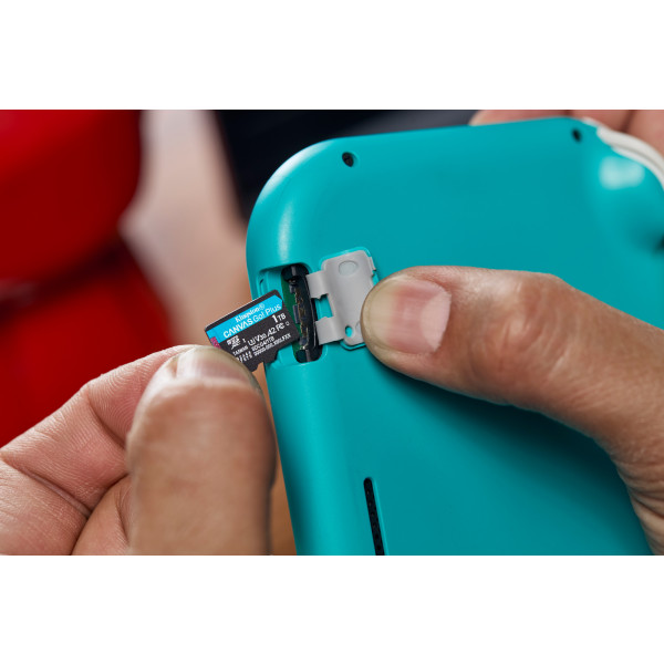 Фото - Карта пам'яті Kingston MicroSDXC 512GB Canvas Go! Plus G4 Class 10 UHS-I U3 V30 A2 (SDCG4/512GBSP)