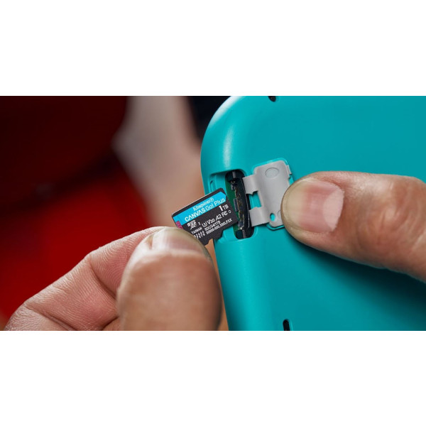 Фото - Карта пам'яті Kingston MicroSDXC 1TB Canvas Go! Plus G4 Class 10 UHS-I U3 V30 A2 (SDCG4/1TBSP)
