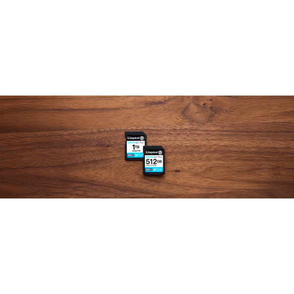 Фото - Карта пам'яті Kingston SDXC 1TB Canvas Go! Plus G4 Class 10 UHS-I U3 V30 (SDG4/1TB)