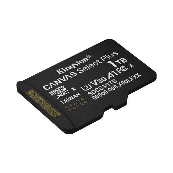 Фото - Карта пам'яті Kingston 1TB microSDXC Canvas Select Plus Gen 3 (SDCS3/1TBSP)
