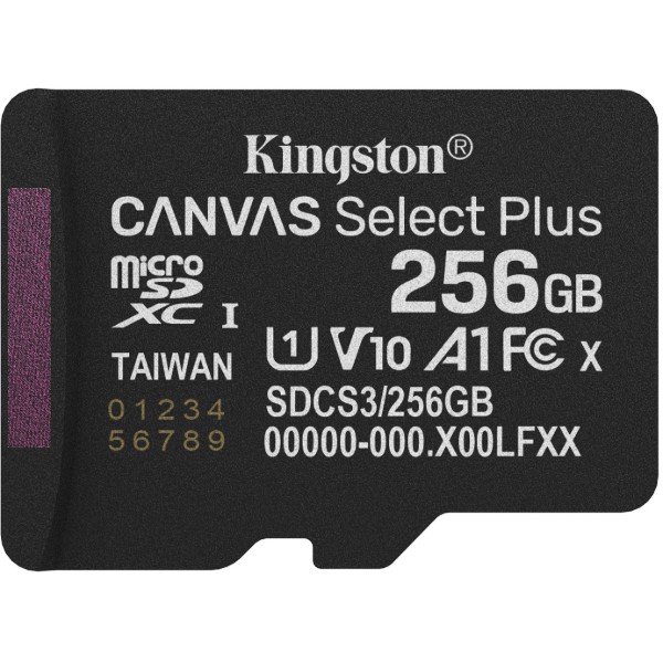 Фото - Карта пам'яті Kingston 256GB microSDXC Canvas Select Plus Gen3 (SDCS3/256GBSP)