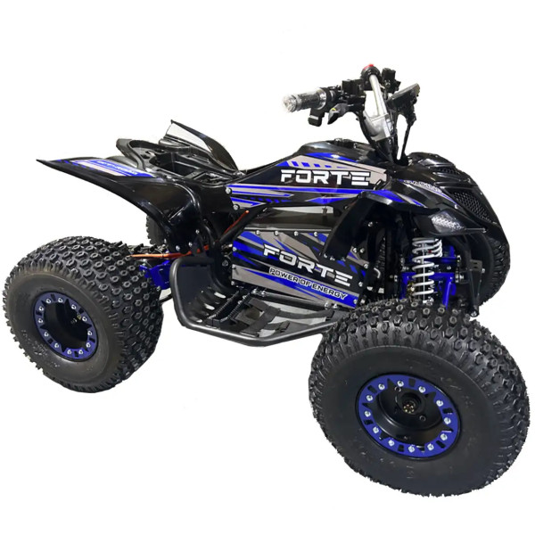 Фото - Квадроцикл Forte ATV1000I Black-Blue